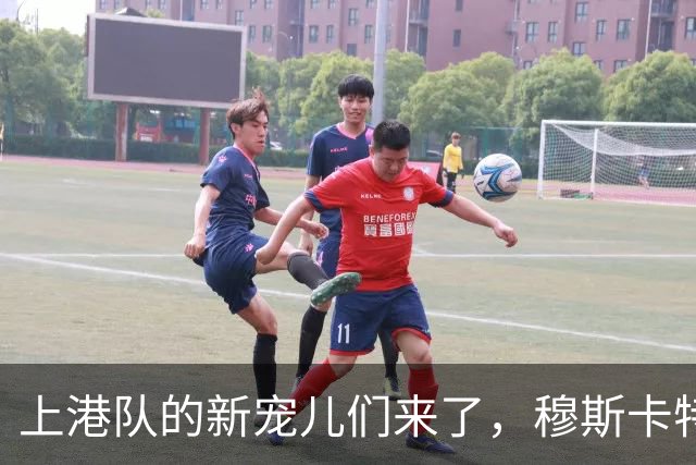 上港队的新宠儿们来了，穆斯卡特助力阵容大变身！